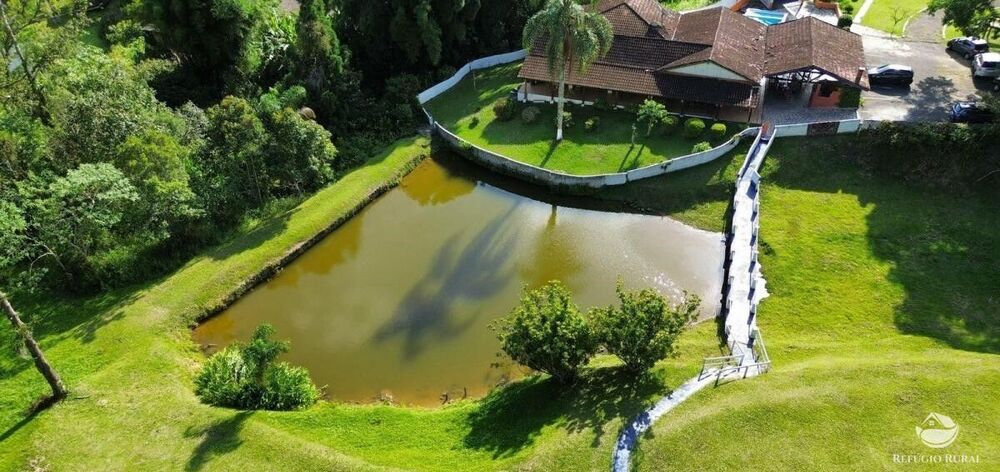 Sítio, 5 hectares - Foto 3