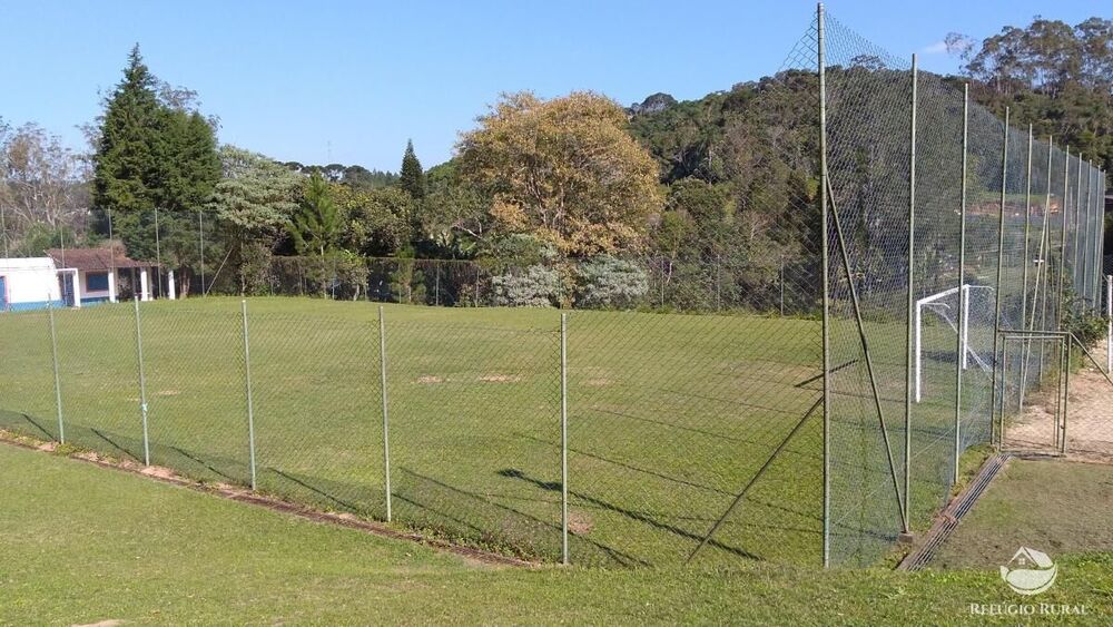 Sítio, 5 hectares - Foto 14