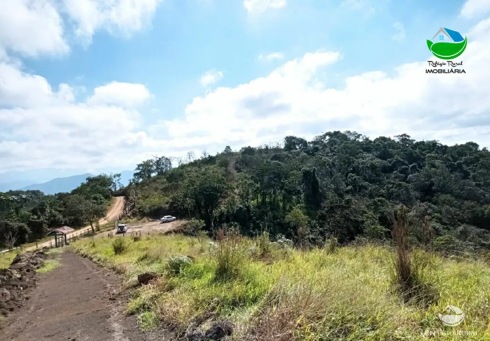 Fazenda, 106 hectares - Foto 10