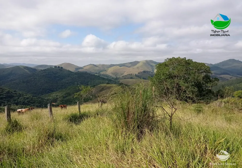 Fazenda, 106 hectares - Foto 1