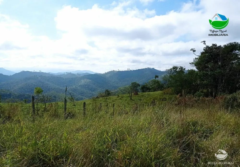 Fazenda, 106 hectares - Foto 8