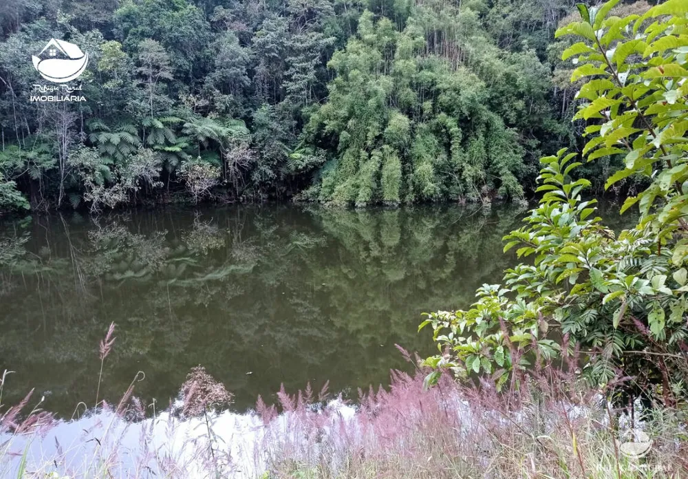 Fazenda, 106 hectares - Foto 4