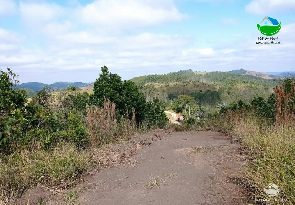 Fazenda, 106 hectares - Foto 12