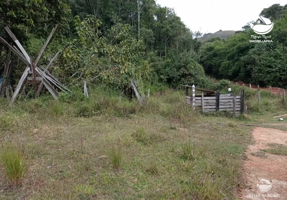 Fazenda, 106 hectares - Foto 7