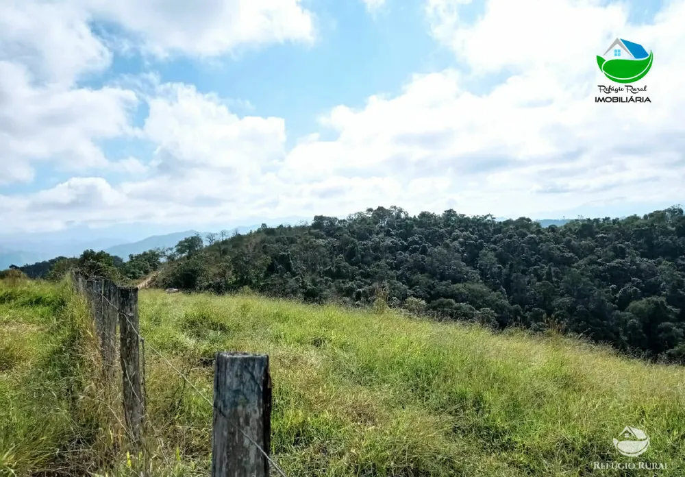 Fazenda, 106 hectares - Foto 3