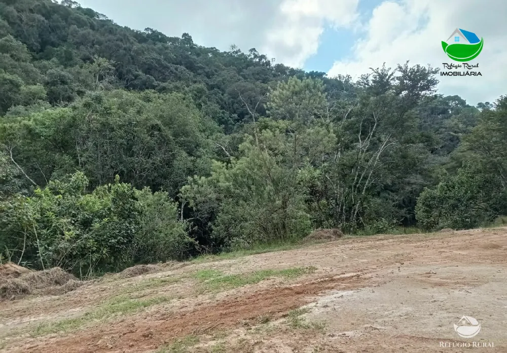 Fazenda, 106 hectares - Foto 9