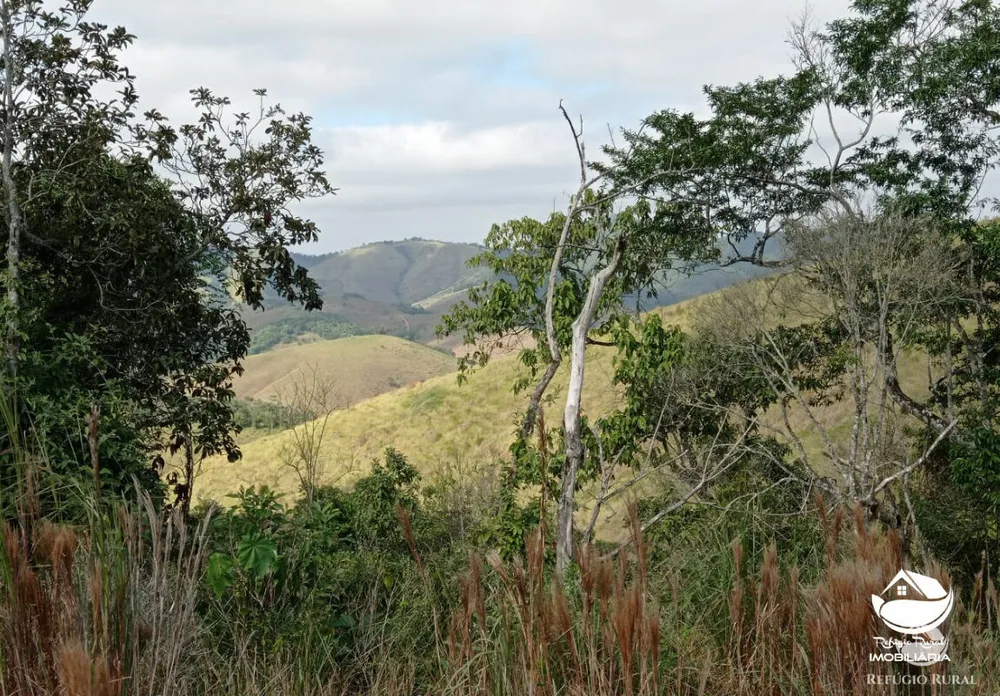 Fazenda, 106 hectares - Foto 2