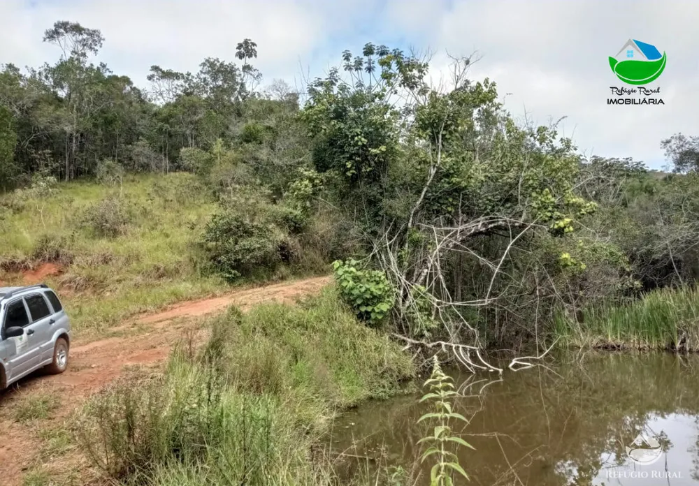 Fazenda, 106 hectares - Foto 11