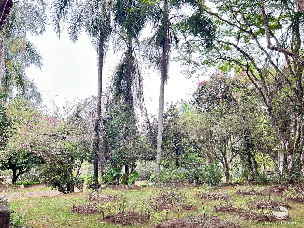 Sítio, 44 hectares - Foto 25