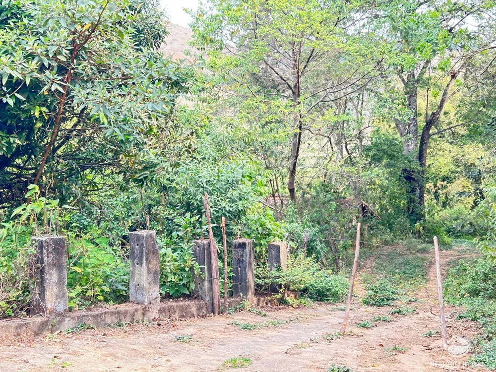 Sítio, 44 hectares - Foto 14