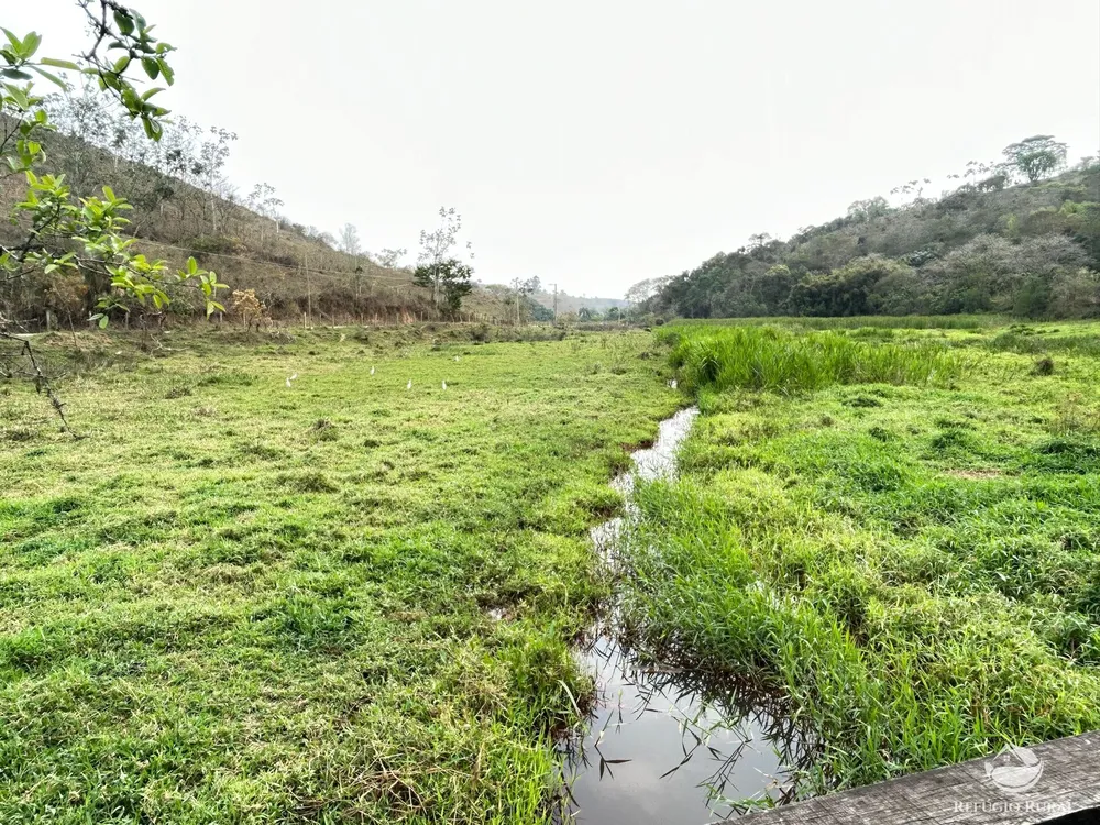 Sítio, 44 hectares - Foto 16