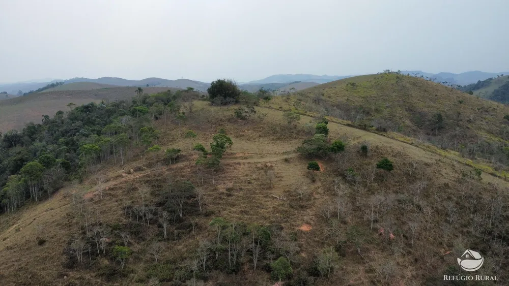 Sítio, 44 hectares - Foto 15