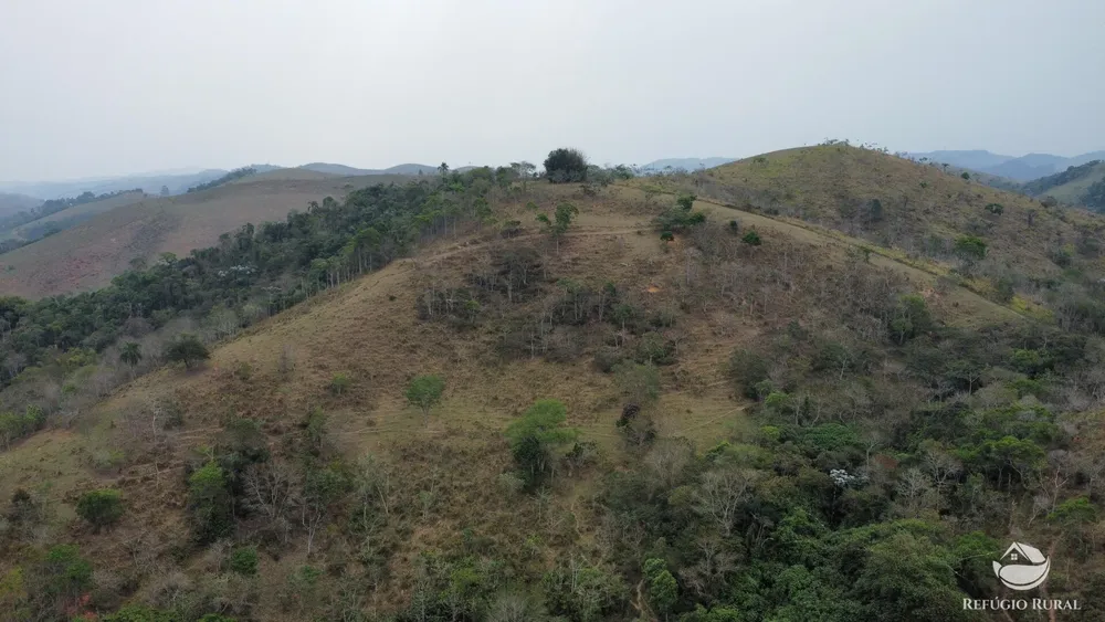 Sítio, 44 hectares - Foto 13