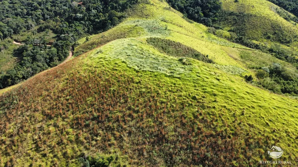 Fazenda, 97 hectares - Foto 11