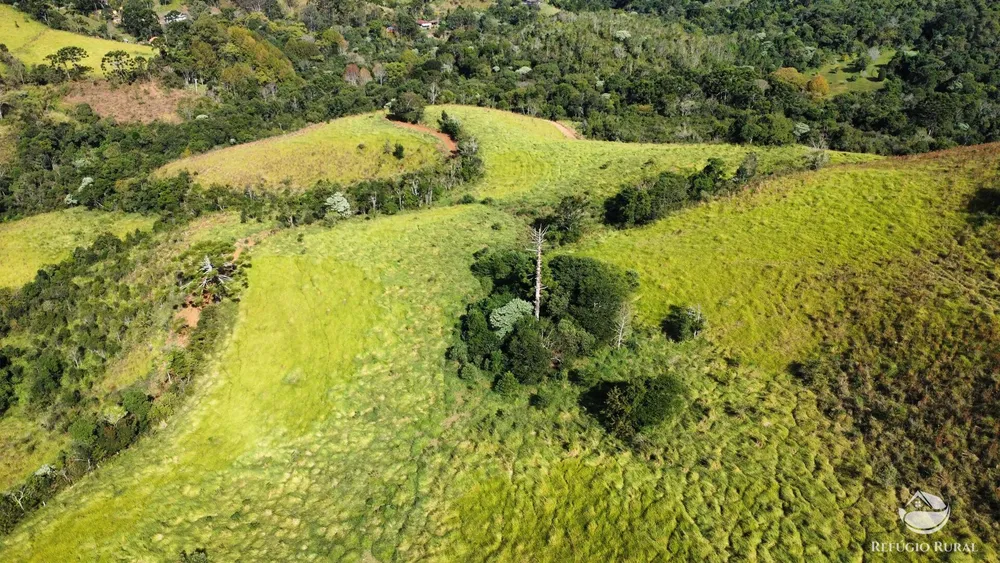Fazenda, 97 hectares - Foto 10