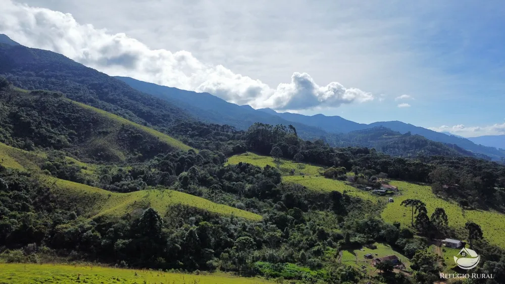 Fazenda, 97 hectares - Foto 4