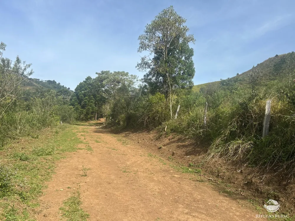 Fazenda, 97 hectares - Foto 12