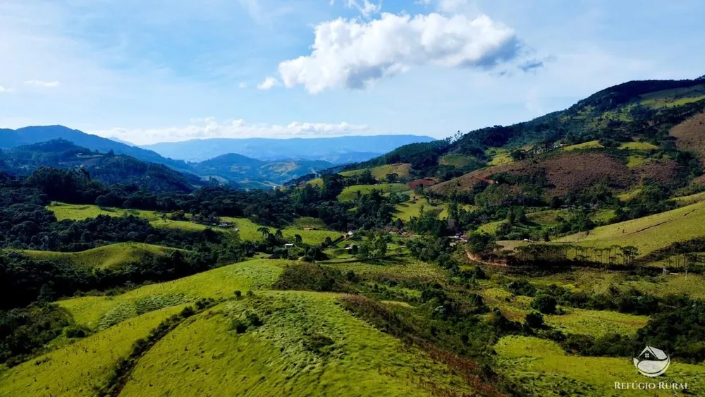 Fazenda, 97 hectares - Foto 1