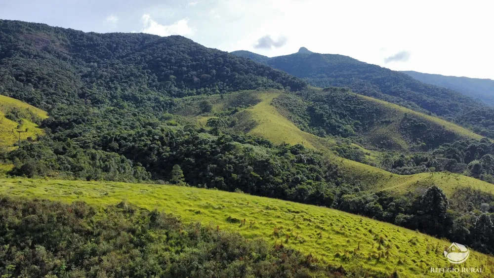 Fazenda, 97 hectares - Foto 8