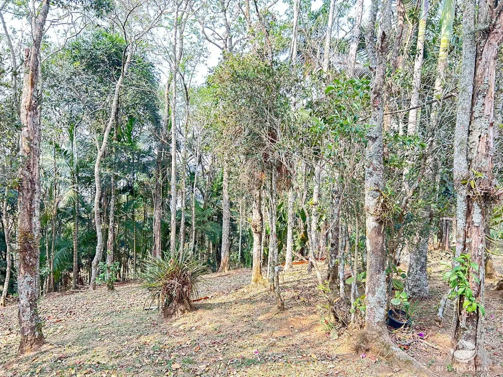 Fazenda, 22 hectares - Foto 8