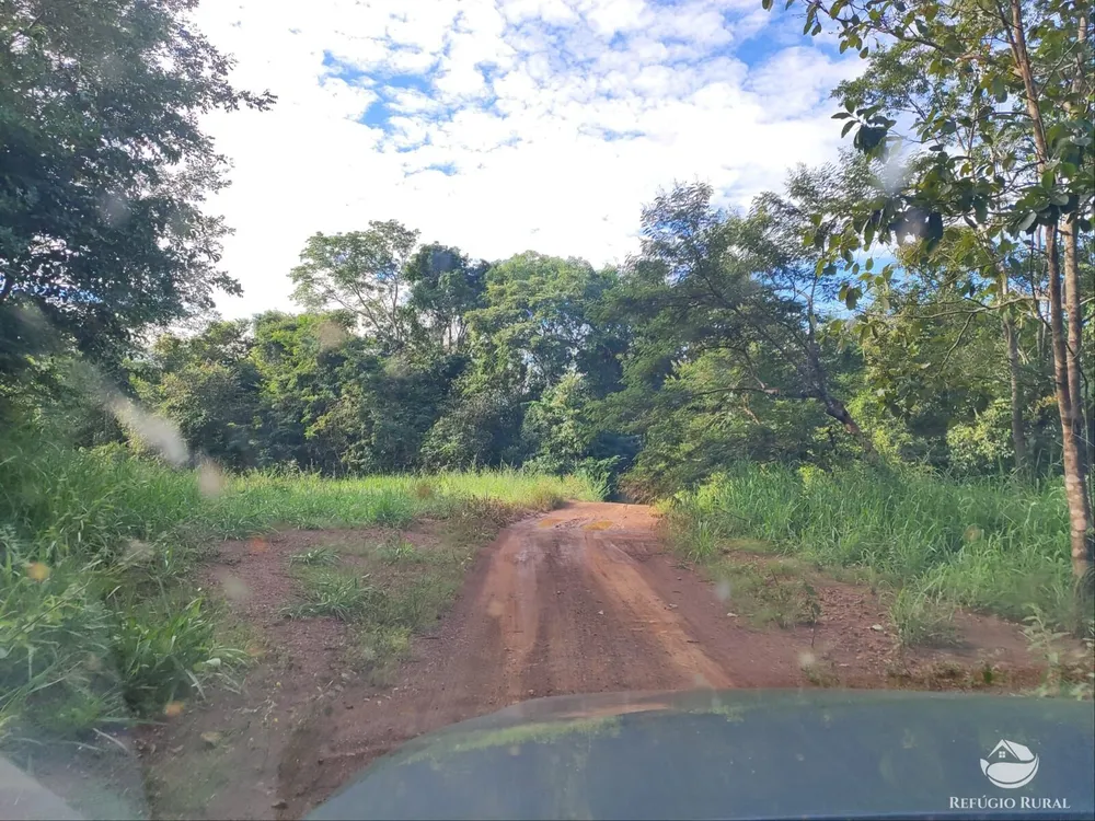Fazenda, 1300 hectares - Foto 10