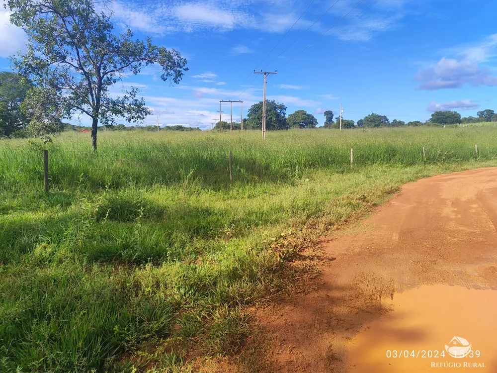 Fazenda, 1300 hectares - Foto 12