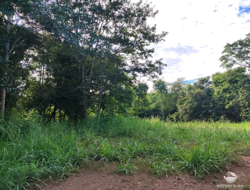 Fazenda, 1300 hectares - Foto 9