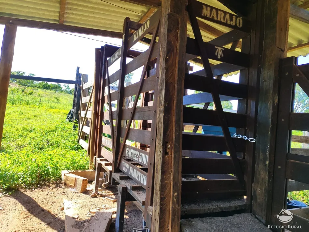 Fazenda, 1300 hectares - Foto 6