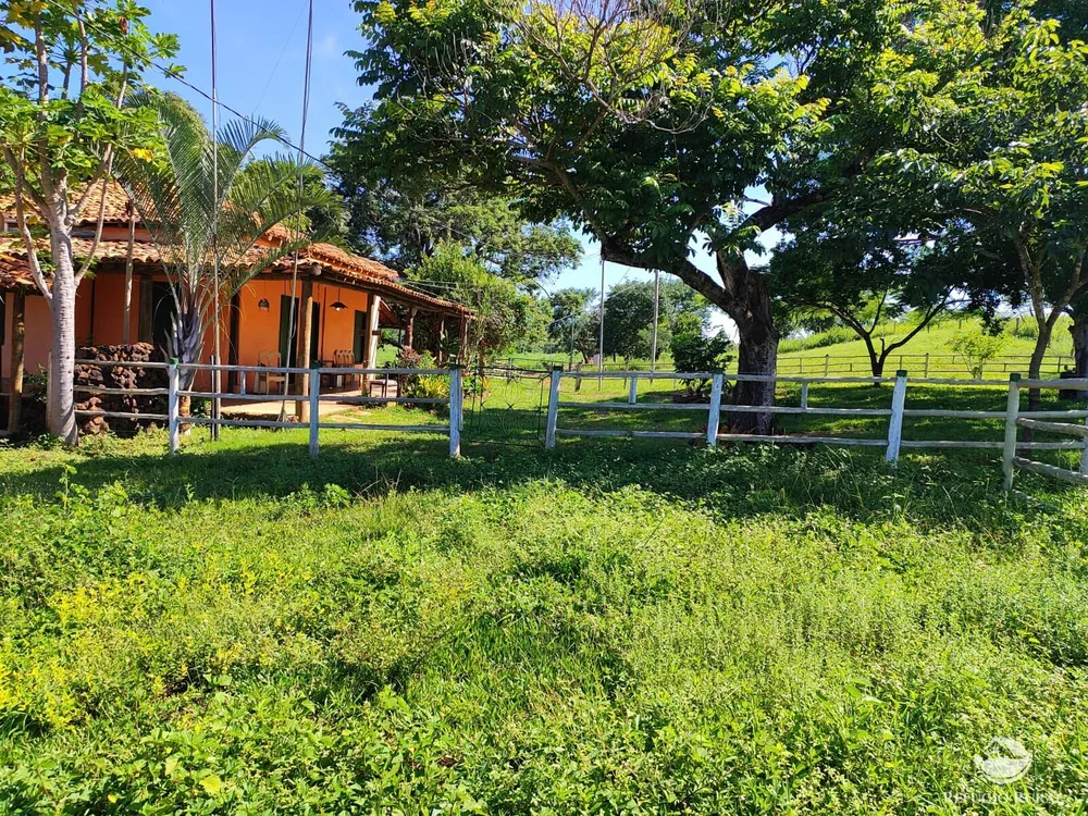Fazenda, 1300 hectares - Foto 1