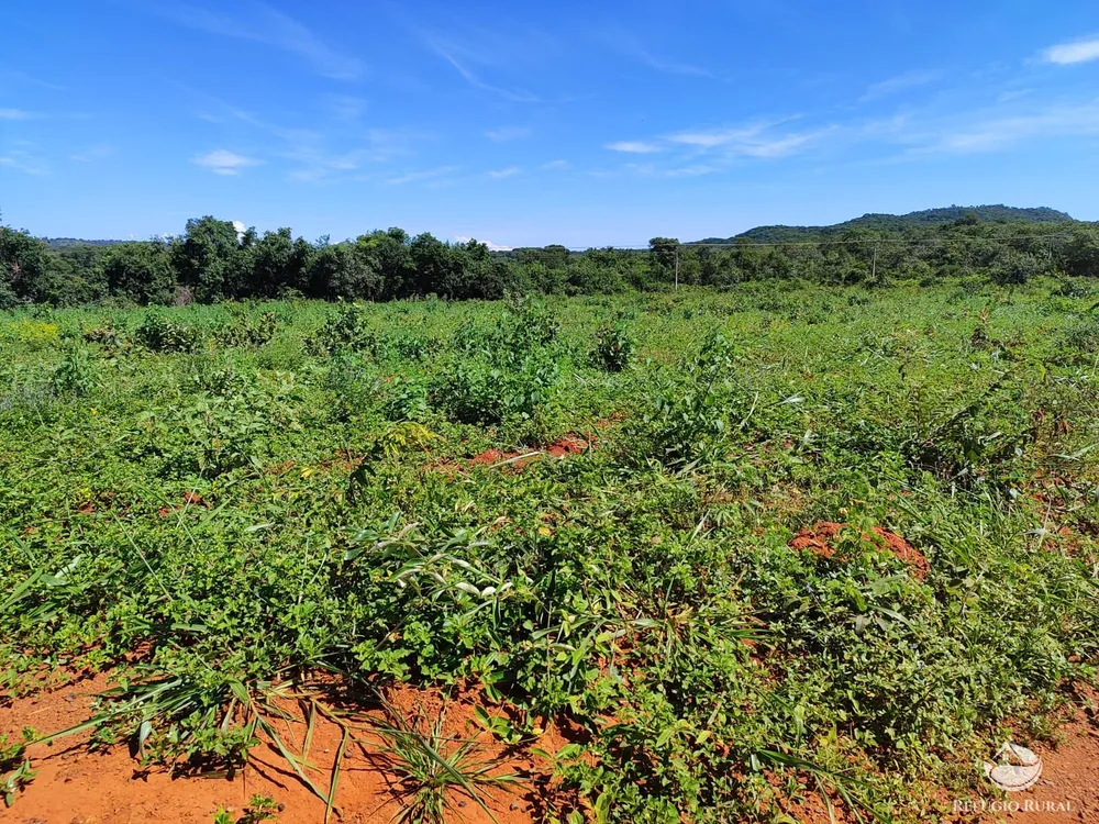 Fazenda, 1300 hectares - Foto 2