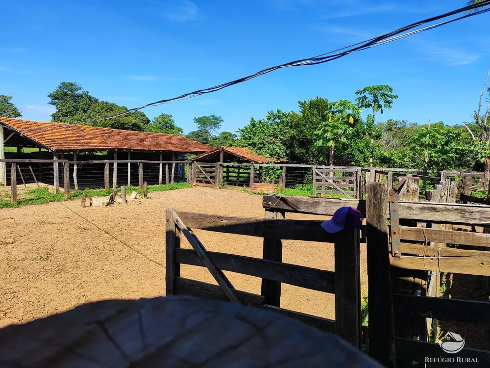 Fazenda, 1300 hectares - Foto 7