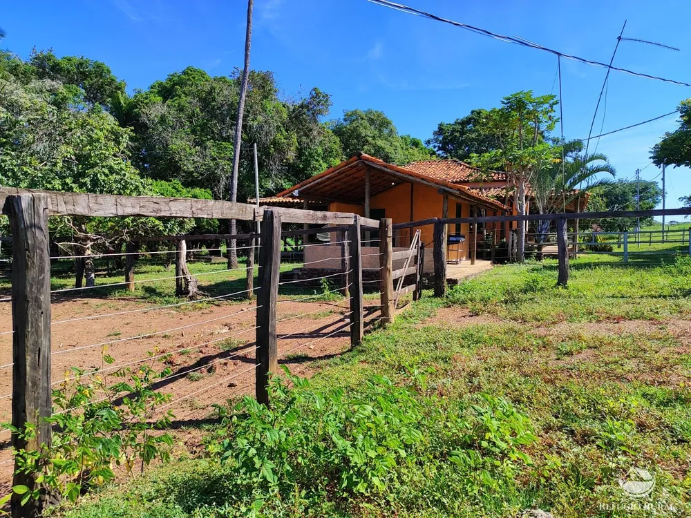 Fazenda, 1300 hectares - Foto 8