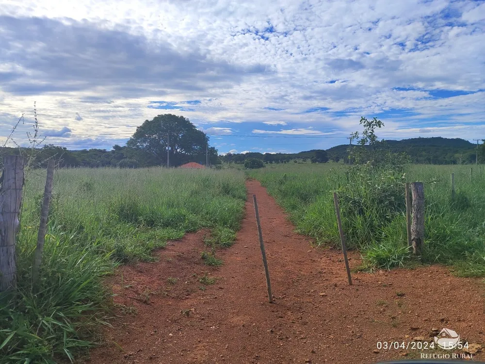 Fazenda, 1300 hectares - Foto 4