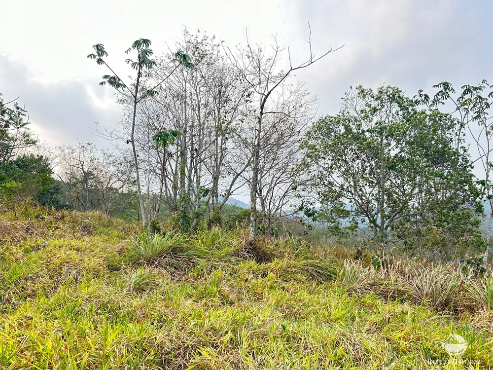 Terreno, 24 hectares - Foto 15