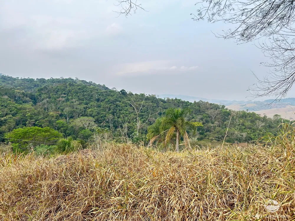 Terreno, 24 hectares - Foto 11