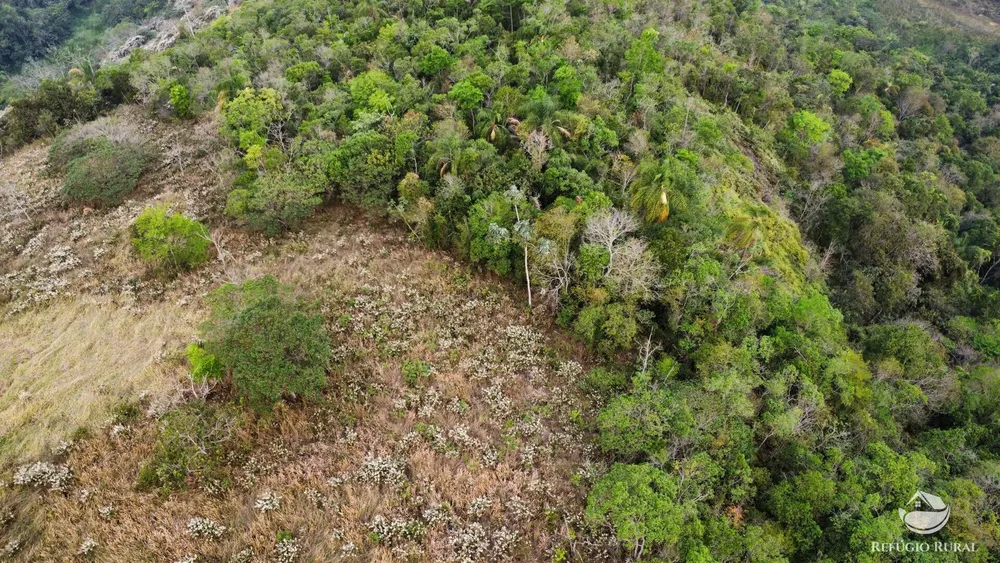 Terreno, 24 hectares - Foto 16