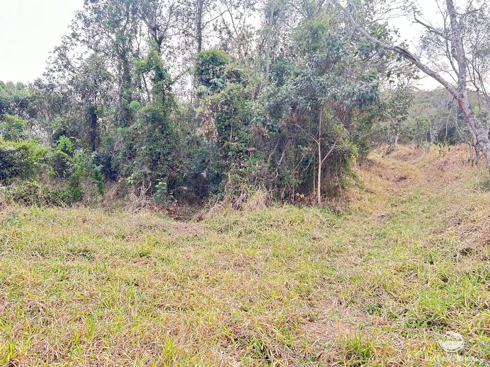 Terreno, 24 hectares - Foto 2