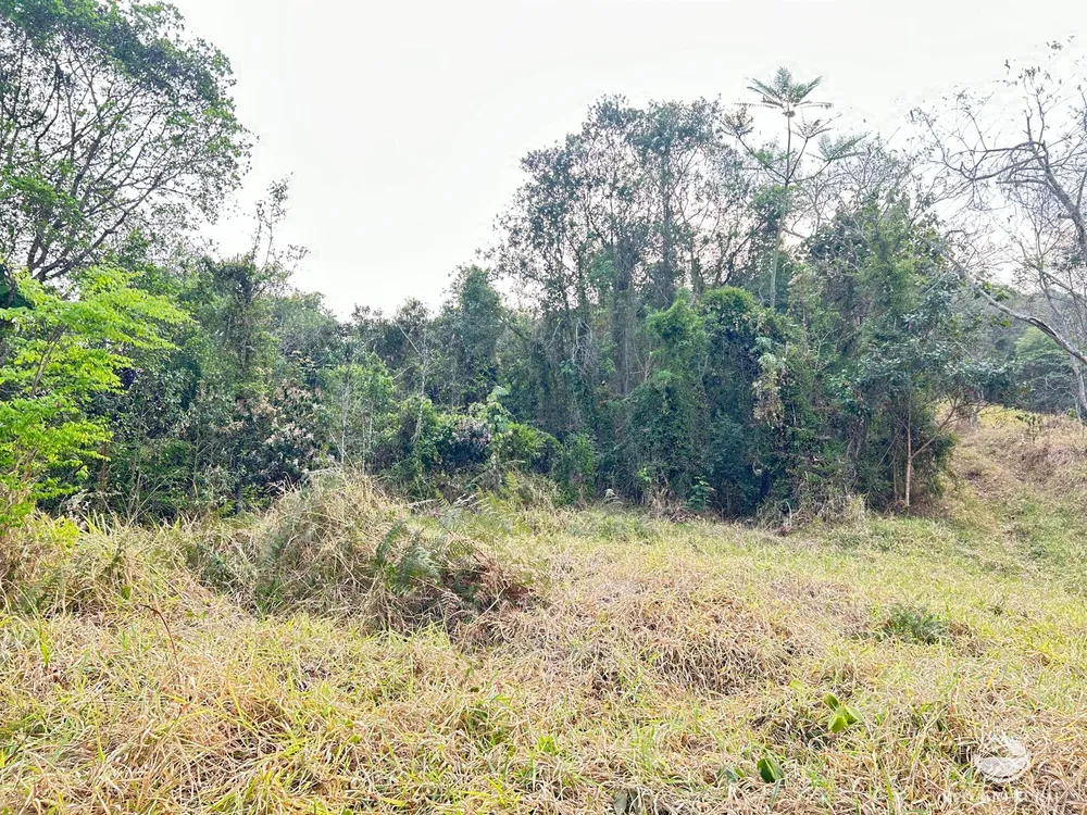Terreno, 24 hectares - Foto 8