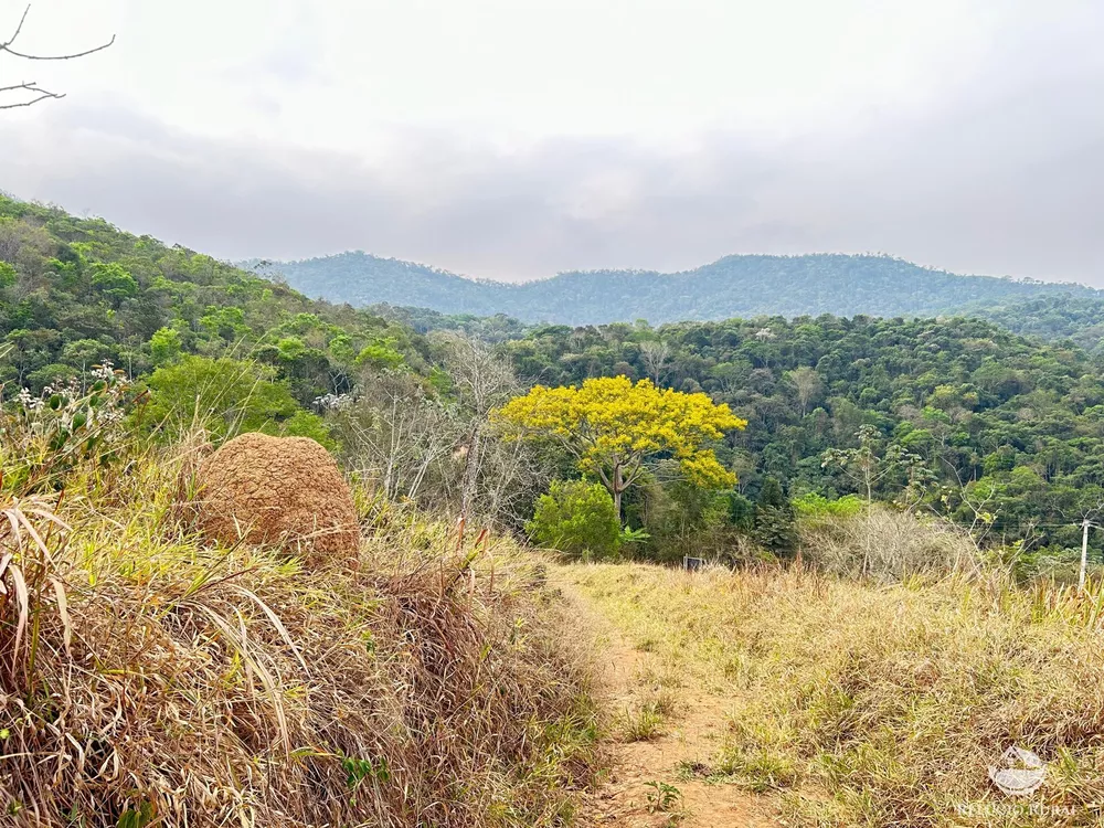 Terreno, 24 hectares - Foto 4