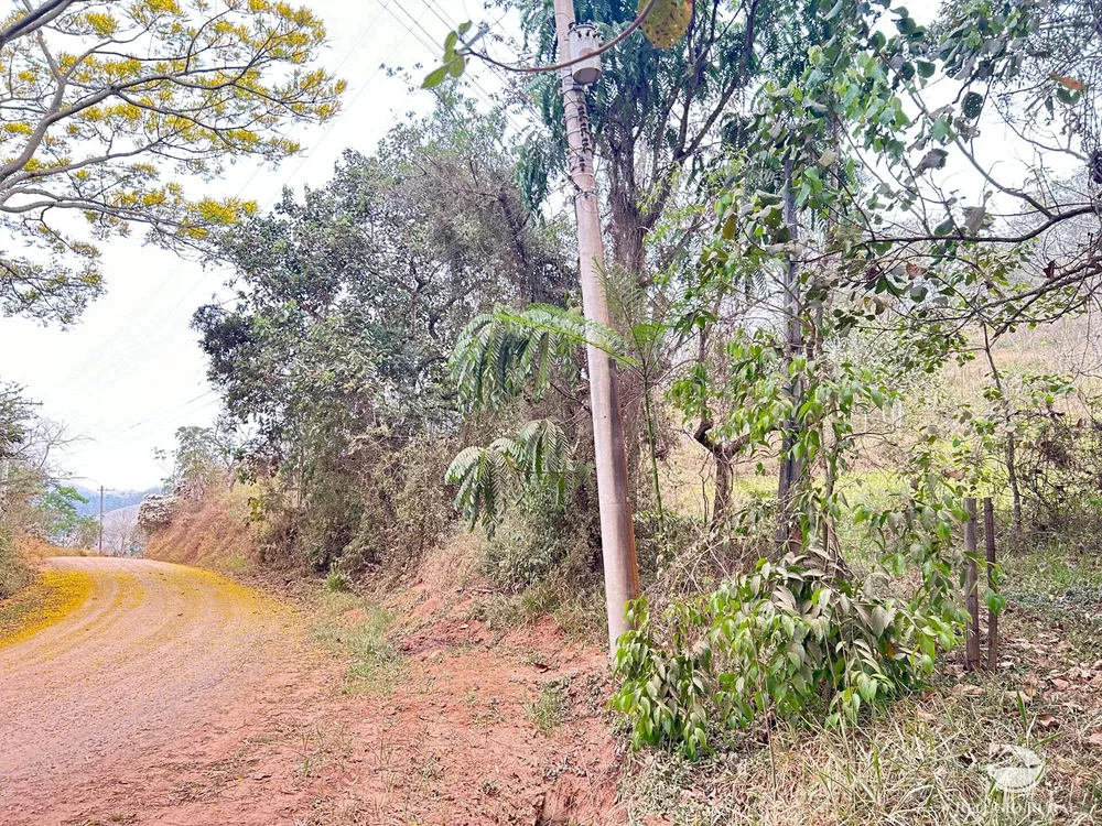 Terreno, 24 hectares - Foto 2