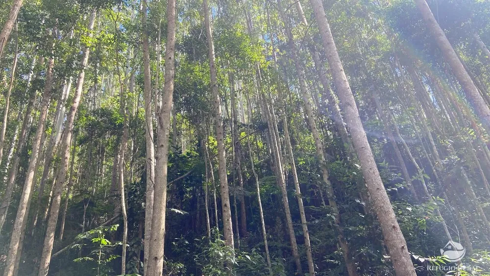 Fazenda, 169 hectares - Foto 8