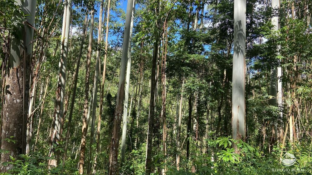 Fazenda à venda com 3 quartos, 1694000m² - Foto 4