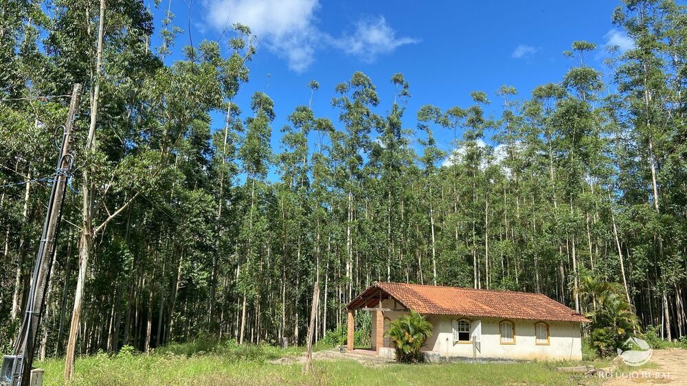 Fazenda à venda com 3 quartos, 1694000m² - Foto 1