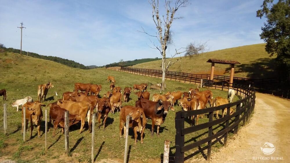 Fazenda à venda com 4 quartos, 3702600m² - Foto 2