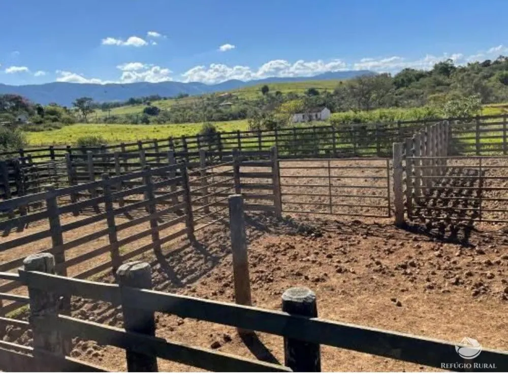 Fazenda, 257 hectares - Foto 10