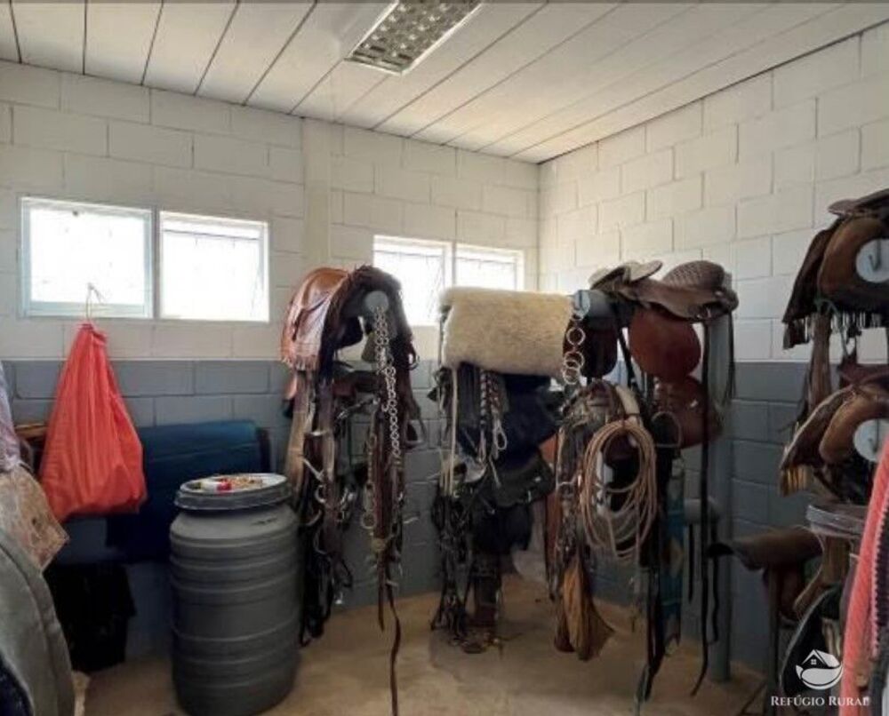 Fazenda, 257 hectares - Foto 10