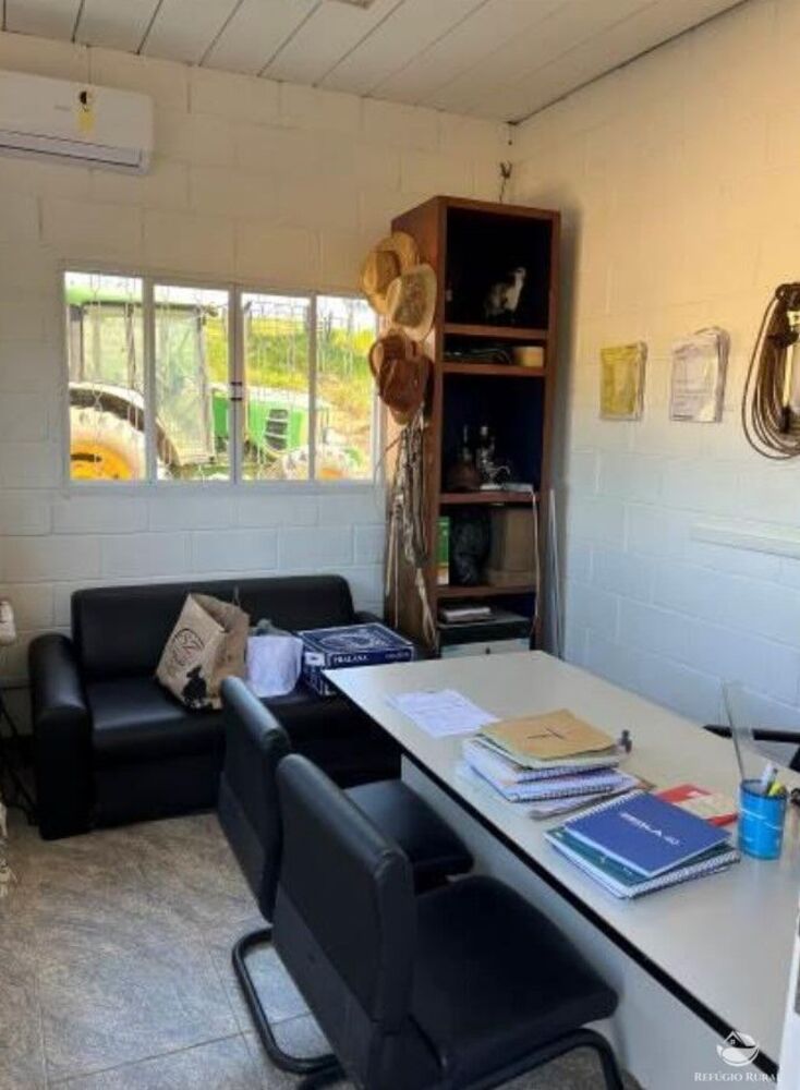 Fazenda, 257 hectares - Foto 12