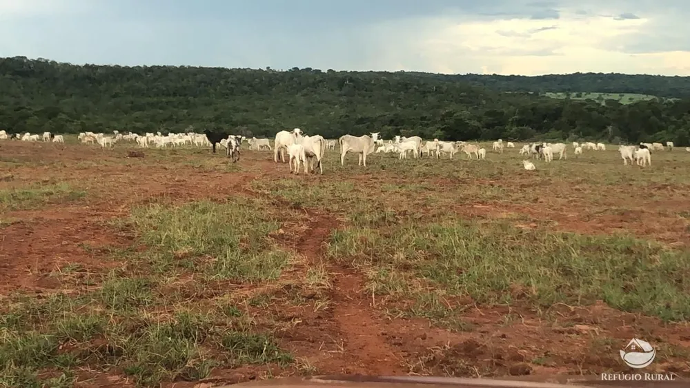 Fazenda, 10400 hectares - Foto 1