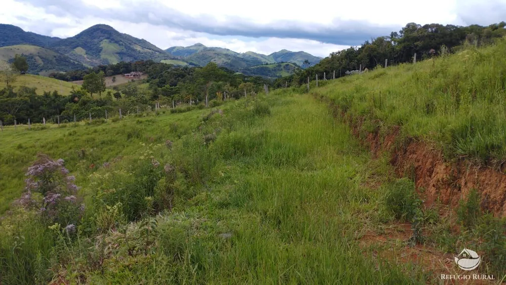Chácara, 2 hectares - Foto 6