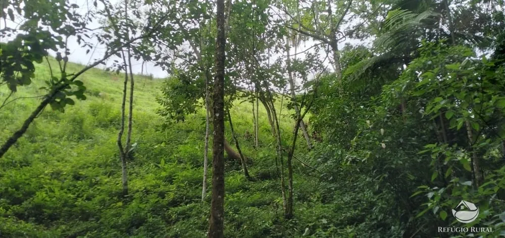 Chácara, 2 hectares - Foto 16
